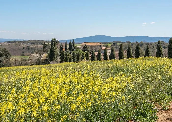 Nonno Gino Daire Montegabbro
